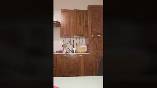 Kittenpurrr  28-01-2023
